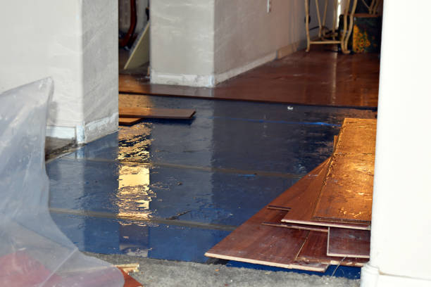 Professional Flood Damage Restoration technician working in Steedman, MO